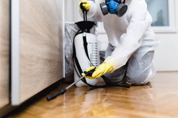 Best Flea Control Services  in Inman, SC