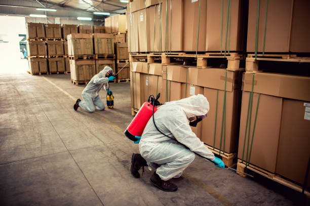 Best Wasp Removal Services  in Inman, SC