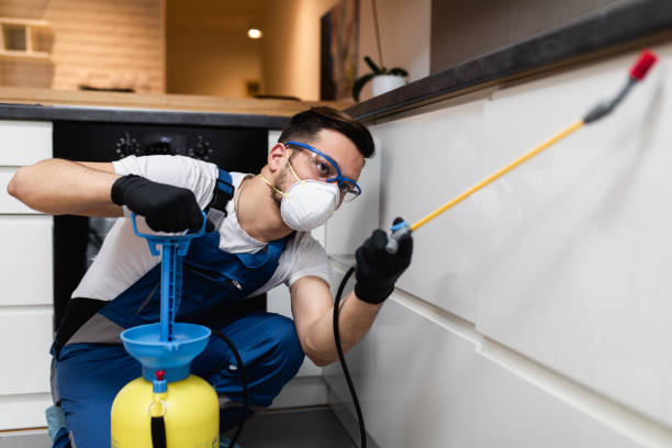 Best Affordable Pest Control Services  in Inman, SC