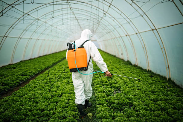 Best Pest Prevention Services  in Inman, SC