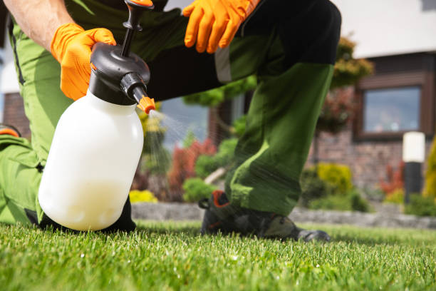 Best Mosquito Control Services  in Inman, SC