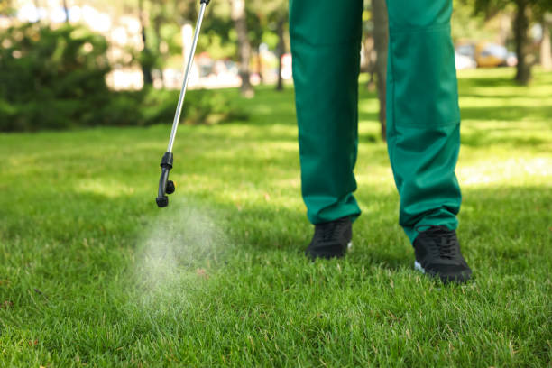 Best Pest Control Near Me in Inman, SC