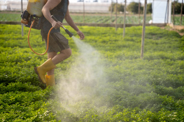 Best Pest Removal Services  in Inman, SC