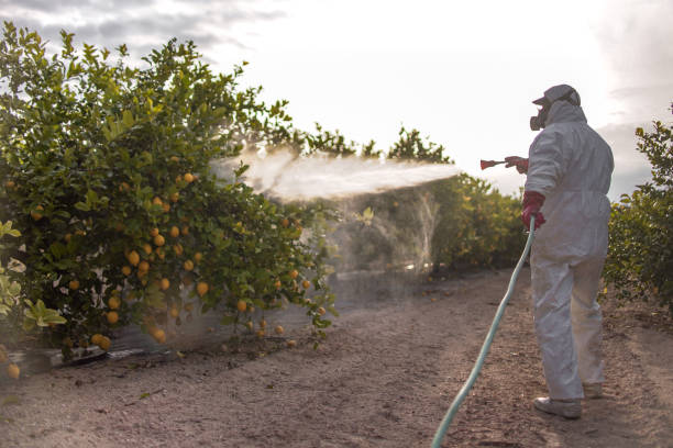 Best Bed Bug Extermination  in Inman, SC