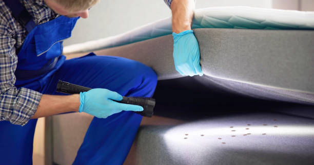 Best Exterminator Services  in Inman, SC