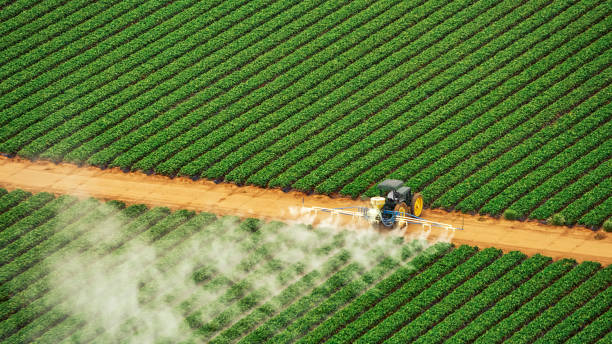 Best Ant Control Services  in Inman, SC