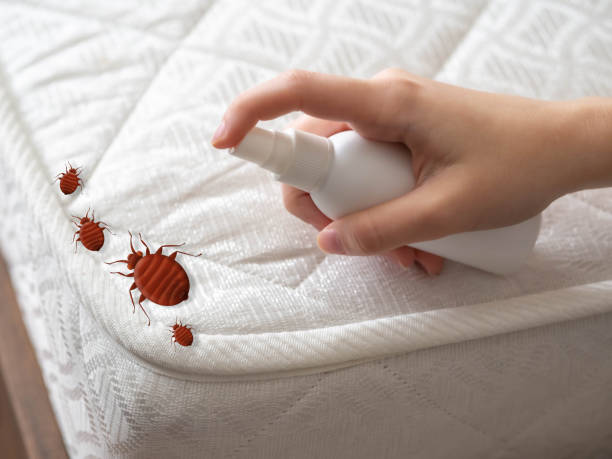 Best Best Pest Control Companies  in Inman, SC